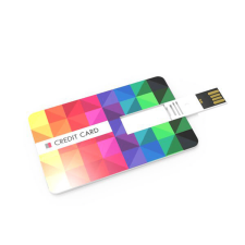 USB Stick (DN Credit Card)